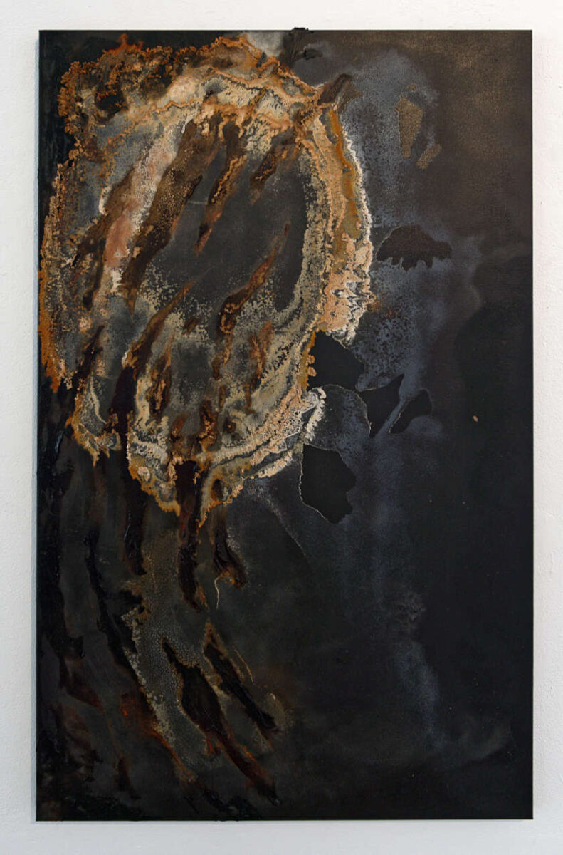 APEX PREDATOR - Eine Ausstellung über das Zeitalter des Anthropozäns