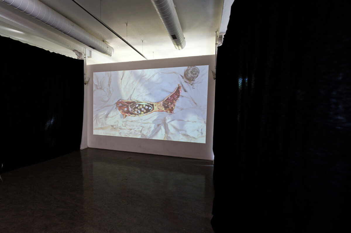 APEX PREDATOR - Eine Ausstellung über das Zeitalter des Anthropozäns