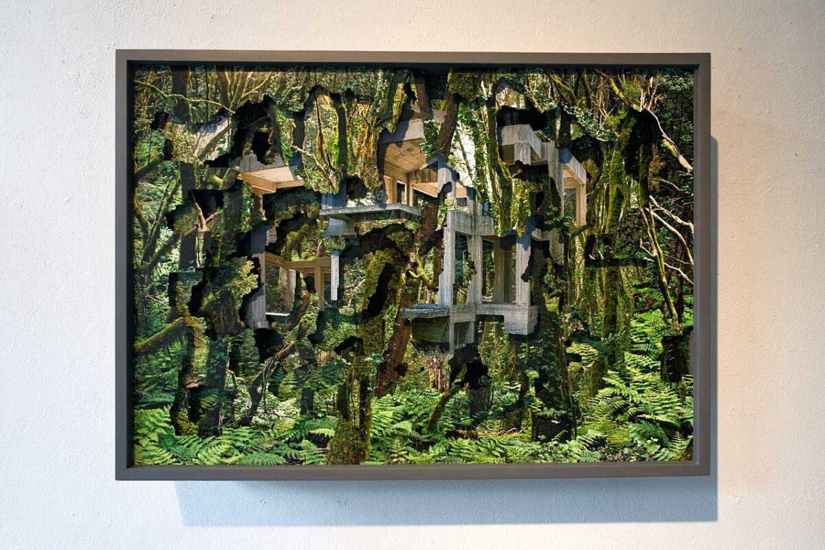 APEX PREDATOR - Eine Ausstellung über das Zeitalter des Anthropozäns